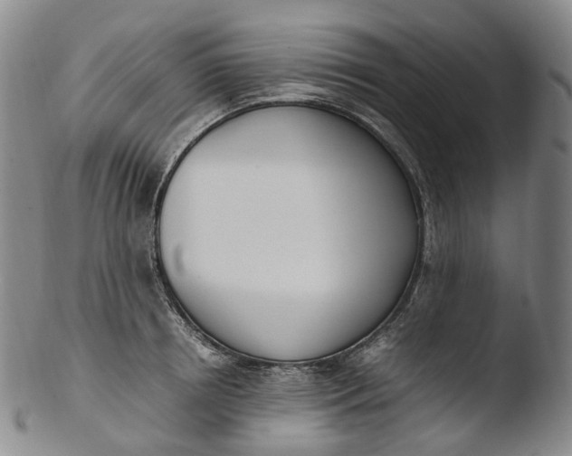 X0000103450850200809261815