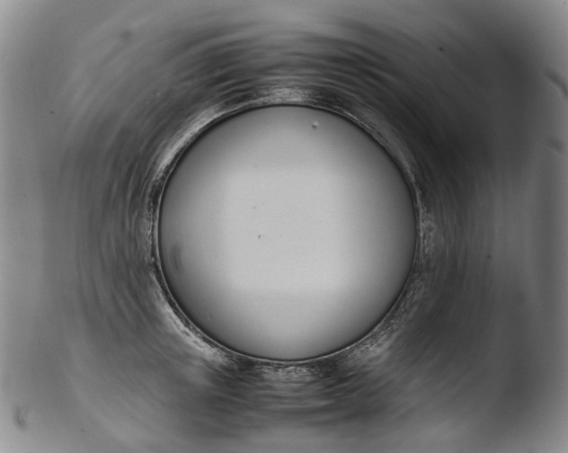 X0000103450851200809261815