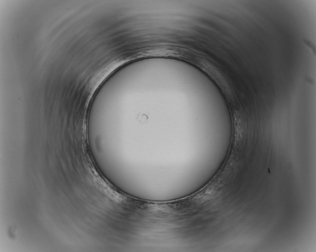 X0000103450852200809261815