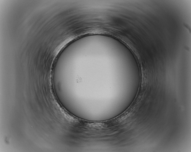 X0000103450853200809261815