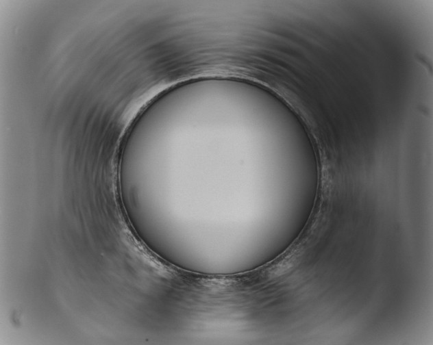 X0000103450854200809261815