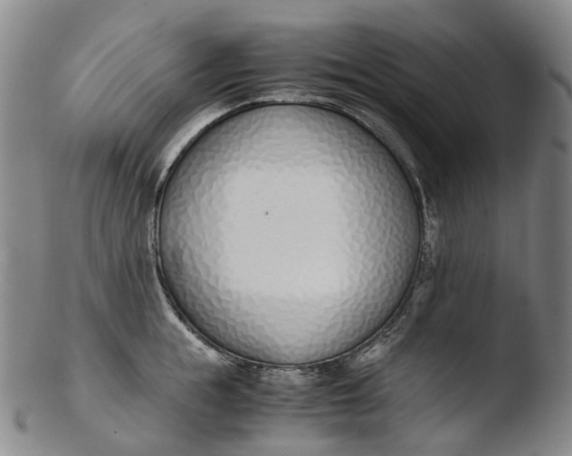 X0000103450855200809261815