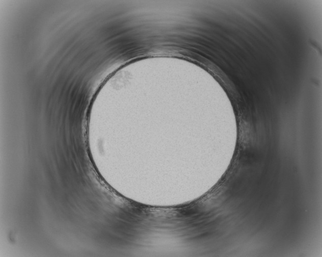 X0000103450856200809261815