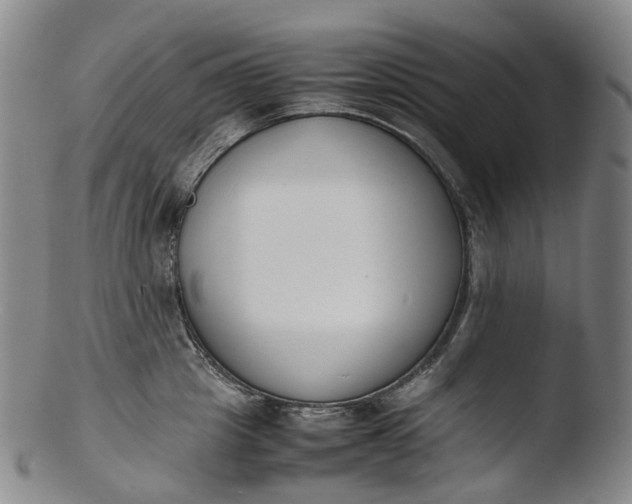 X0000103450857200809261815