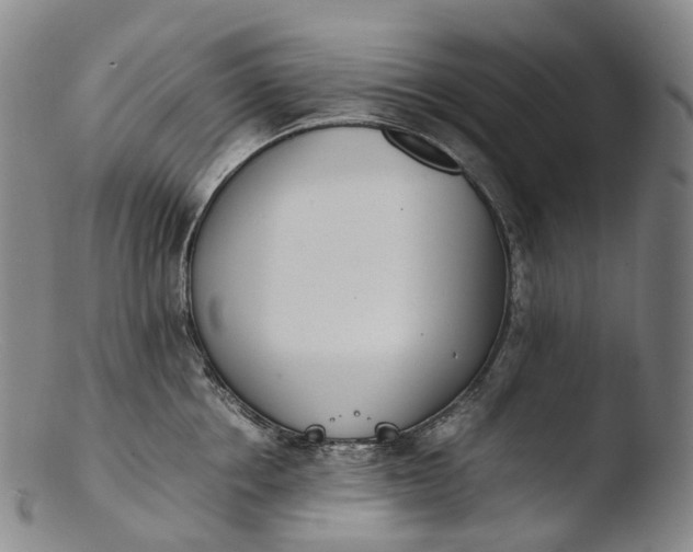 X0000103450858200809261815