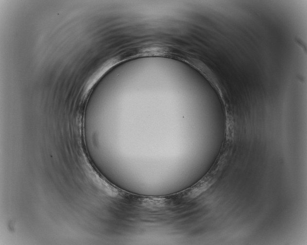 X0000103450859200809261815