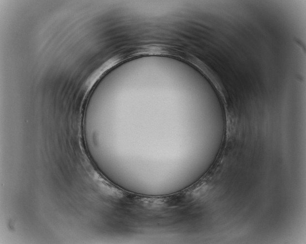 X0000103450861200809261815