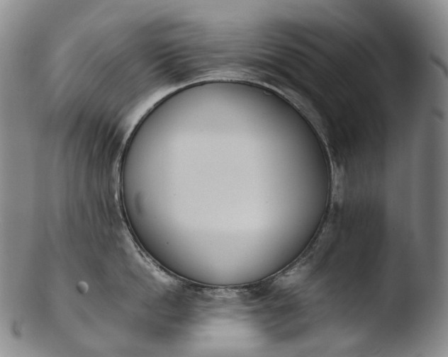 X0000103450862200809261815