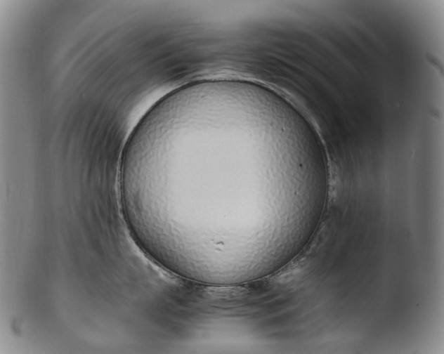 X0000103450863200809261815