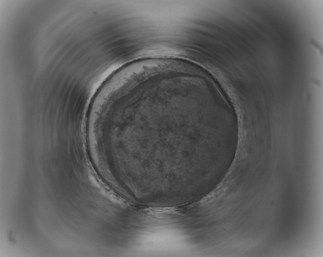 X0000103450864200809261815