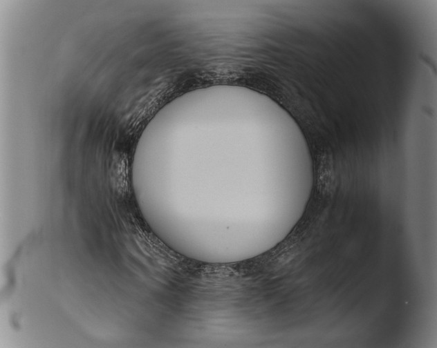 X0000103450866200809261815