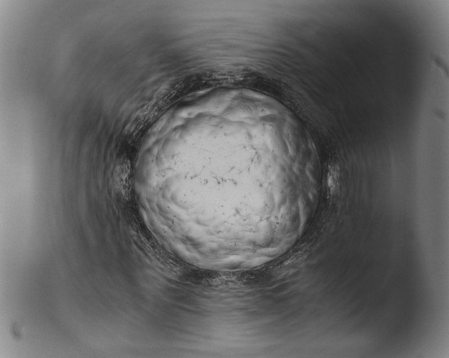 X0000103450867200809261815