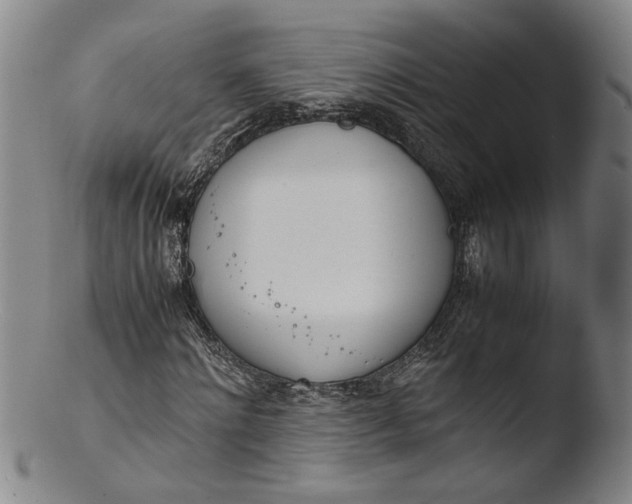 X0000103450868200809261814