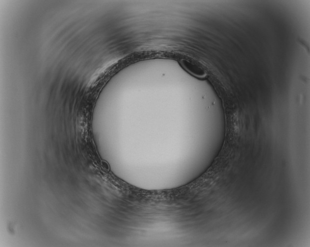 X0000103450872200809261814