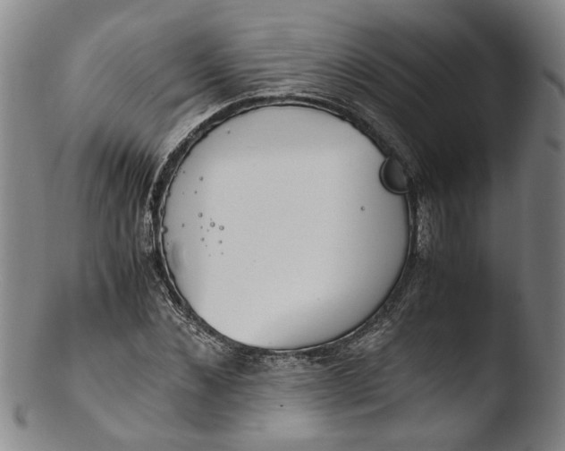 X0000103450876200809261814