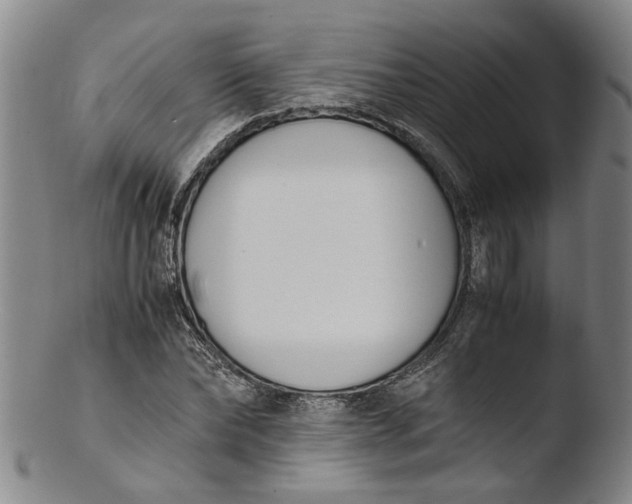 X0000103450878200809261814