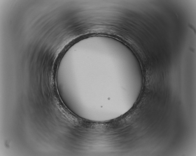 X0000103450880200809261814