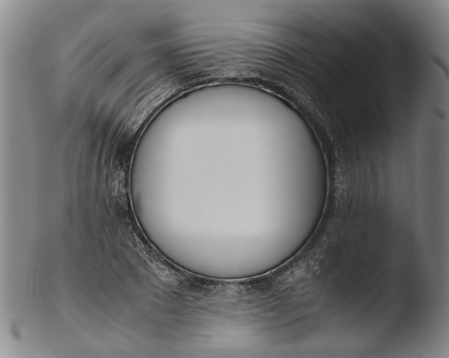 X0000103450881200809261814