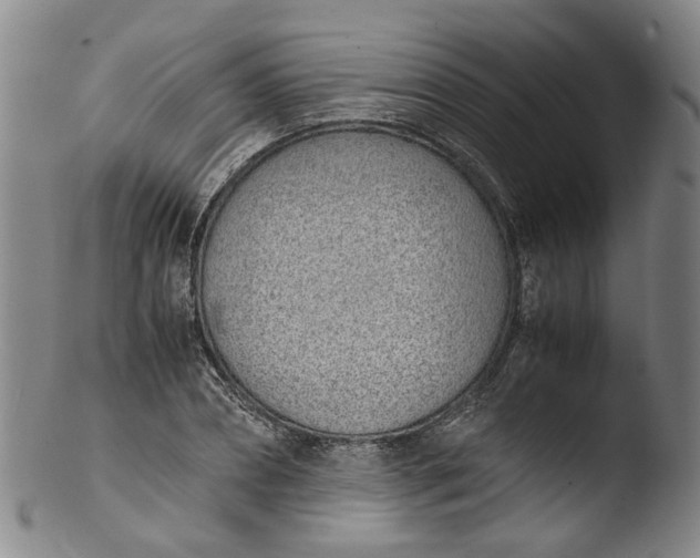 X0000103450882200809261814