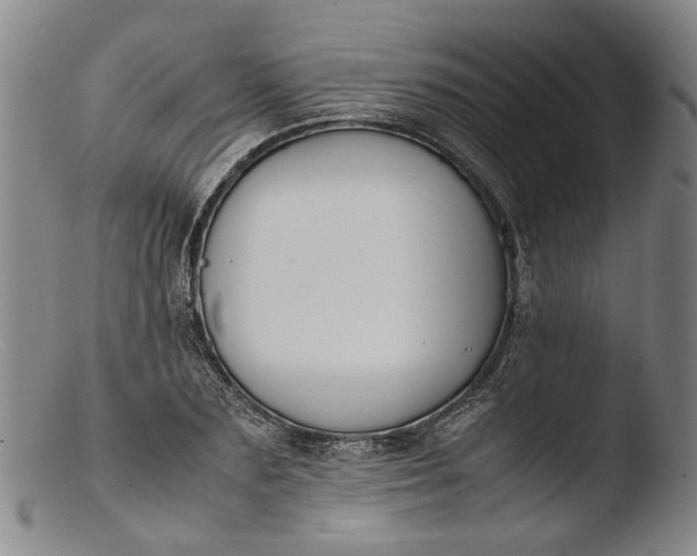 X0000103450883200809261814