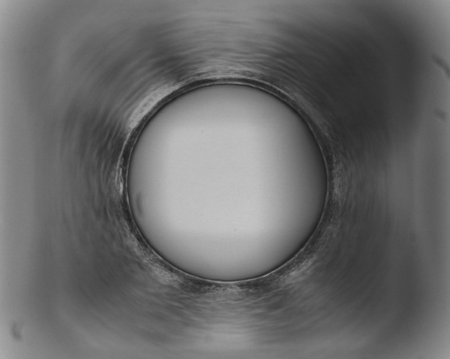 X0000103450885200809261814