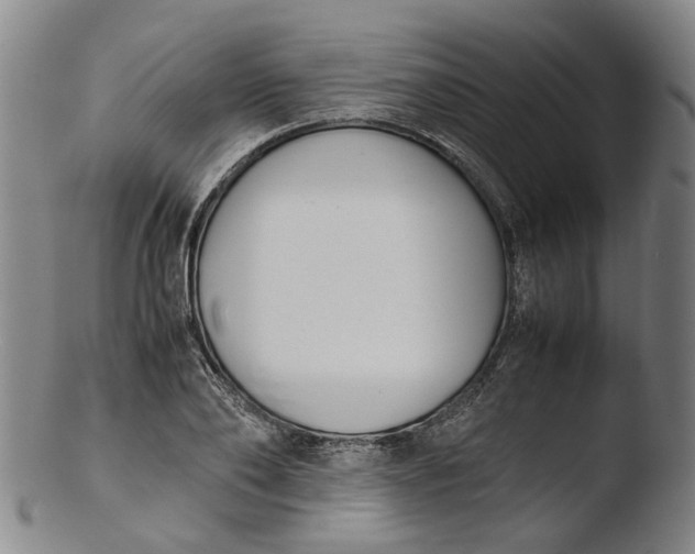 X0000103450886200809261814