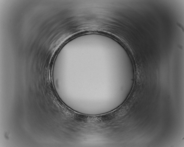 X0000103450887200809261814