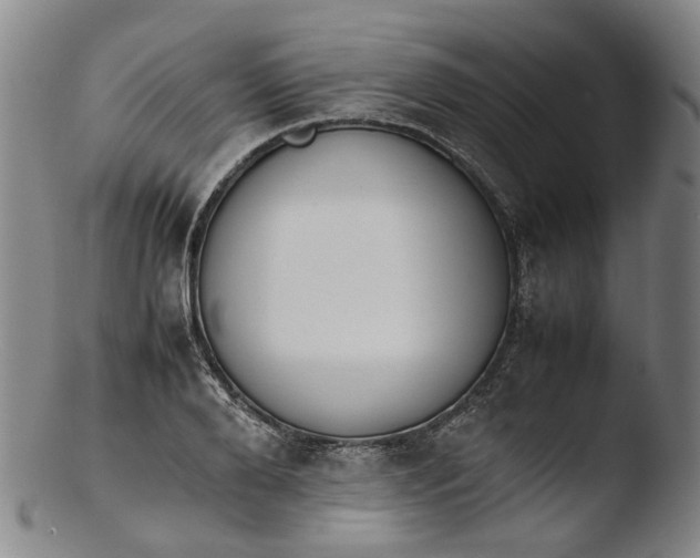 X0000103450888200809261814