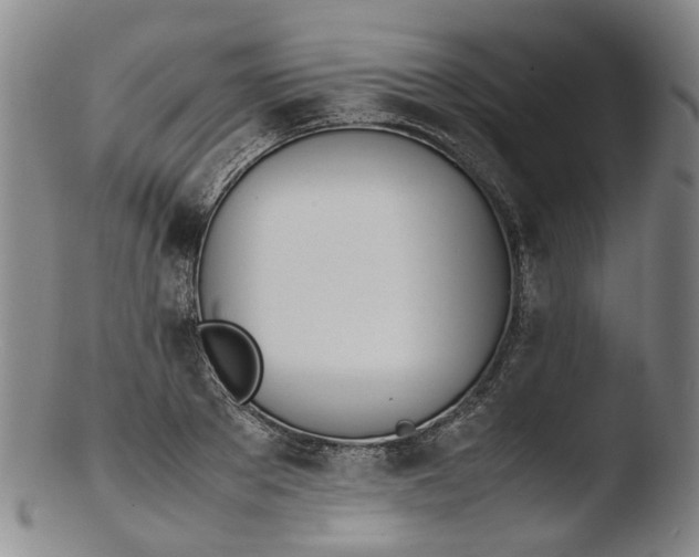 X0000103450889200809261814