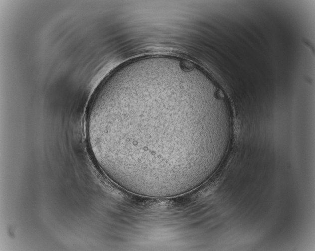 X0000103450891200809261814