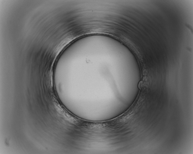 X0000103450892200809261814