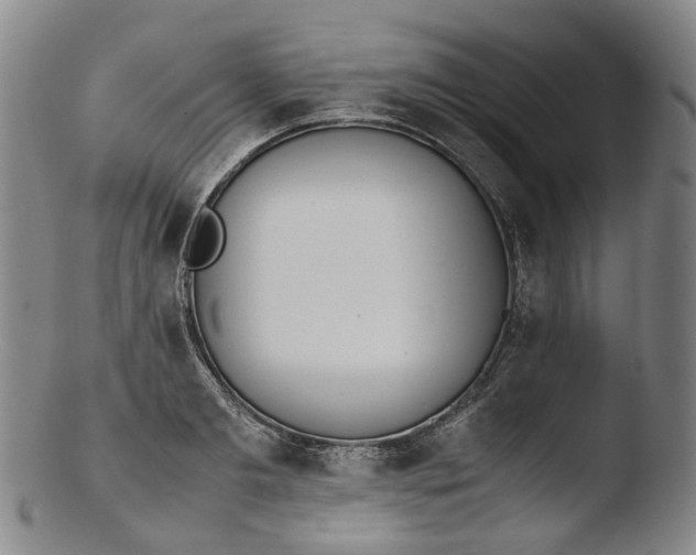 X0000103450893200809261814