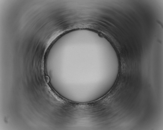 X0000103450894200809261814