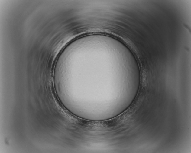 X0000103450895200809261814