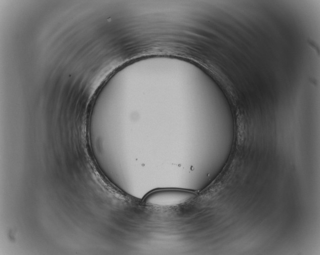 X0000103450896200809261814