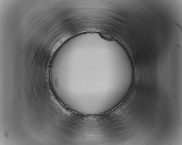 X0000103450898200809261814