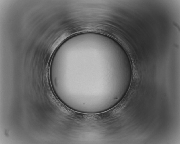 X0000103450899200809261814