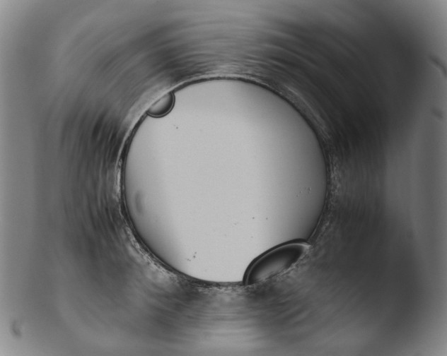 X0000103450900200809261814