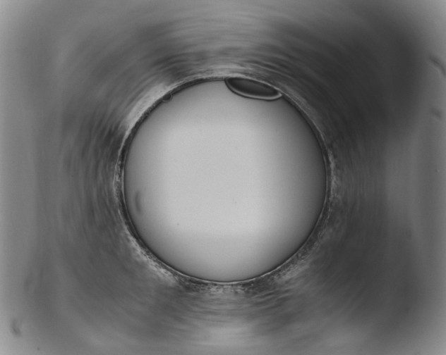 X0000103450901200809261814