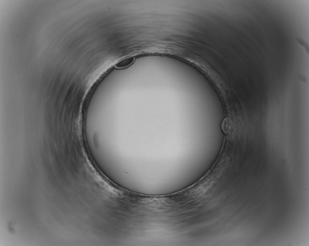 X0000103450902200809261814