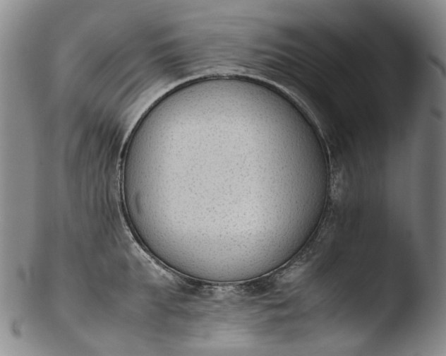 X0000103450903200809261814