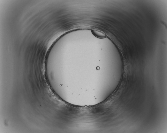 X0000103450904200809261814