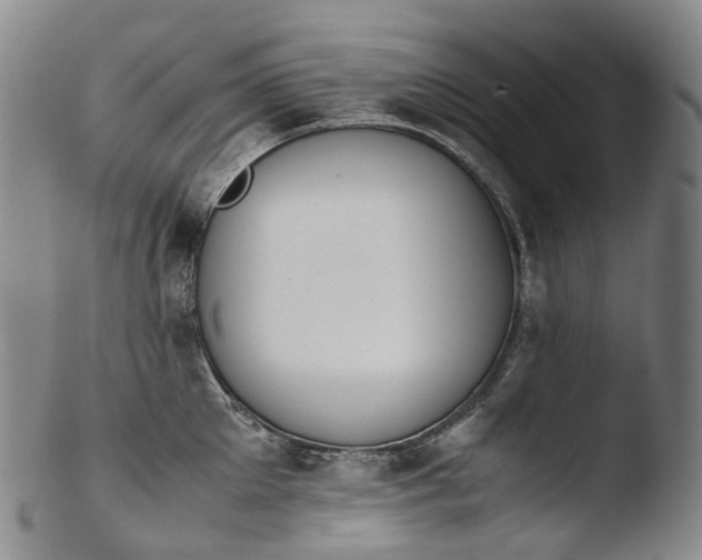 X0000103450905200809261814