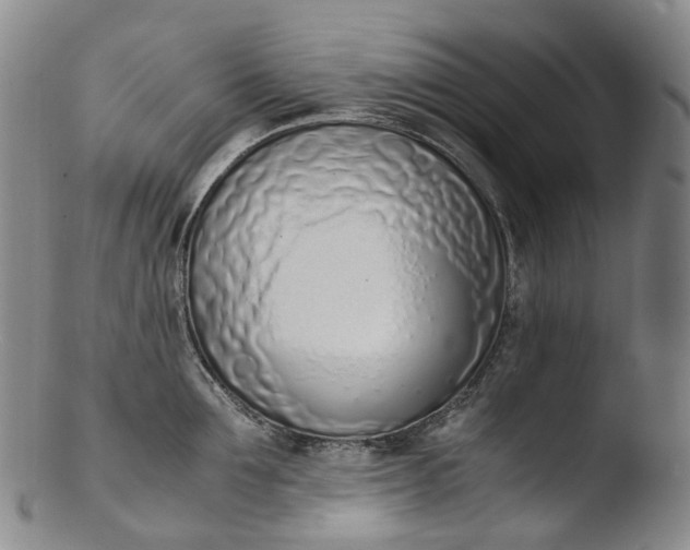 X0000103450907200809261814