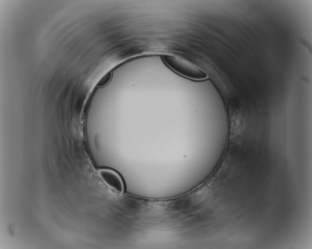 X0000103450908200809261814