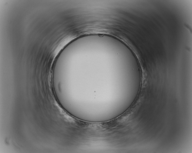 X0000103450909200809261814