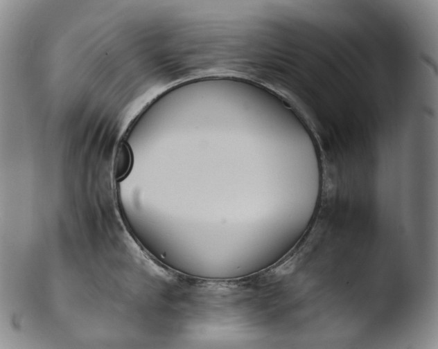 X0000103450910200809261814