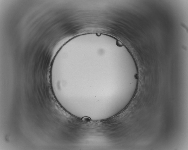 X0000103450912200809261814