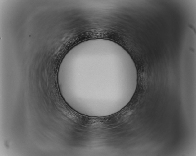 X0000103450913200809261813