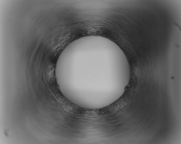 X0000103450914200809261813